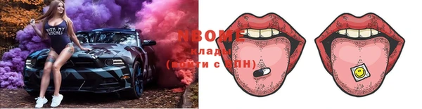 хмурый Надым